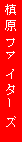 ƒeƒLƒXƒg ƒ{ƒbƒNƒX: –ŠŒ´ƒtƒ@ƒCƒ^[ƒY